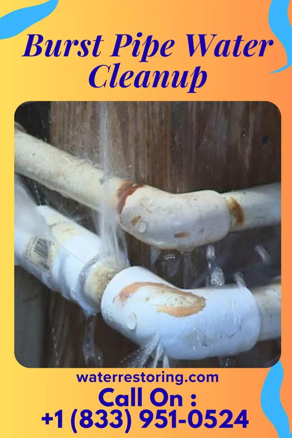 Burst Pipe Water Cleanup in Claypool, IN