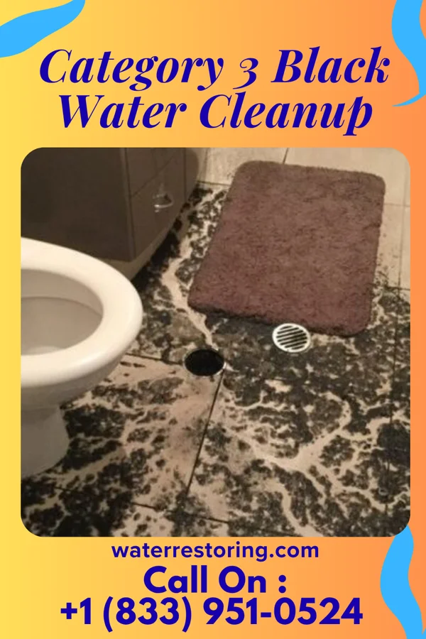 Category 3 Black Water Cleanup in Claypool, IN