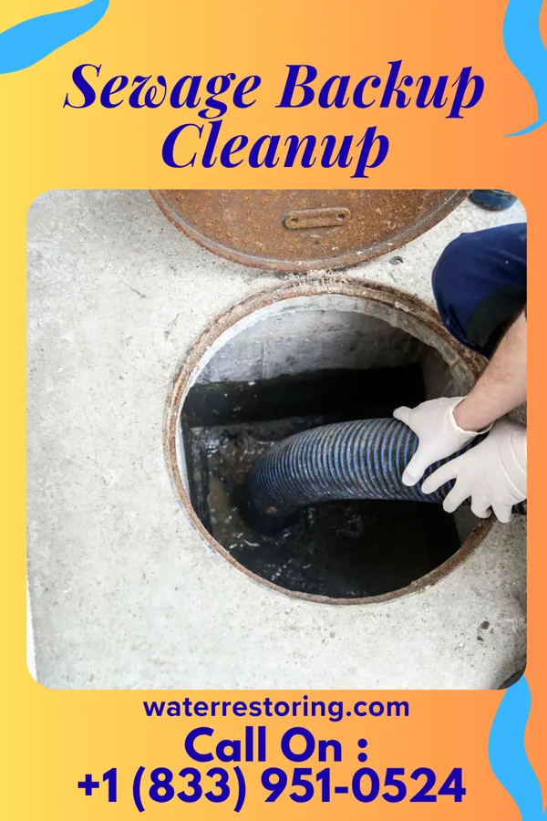 Sewage Backup Cleanup in Claypool, IN